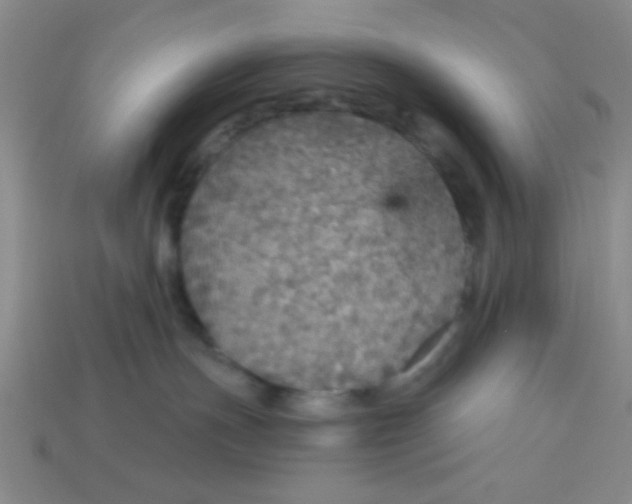 X0000113880191200910151321