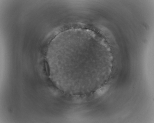 X0000113880192200910151321