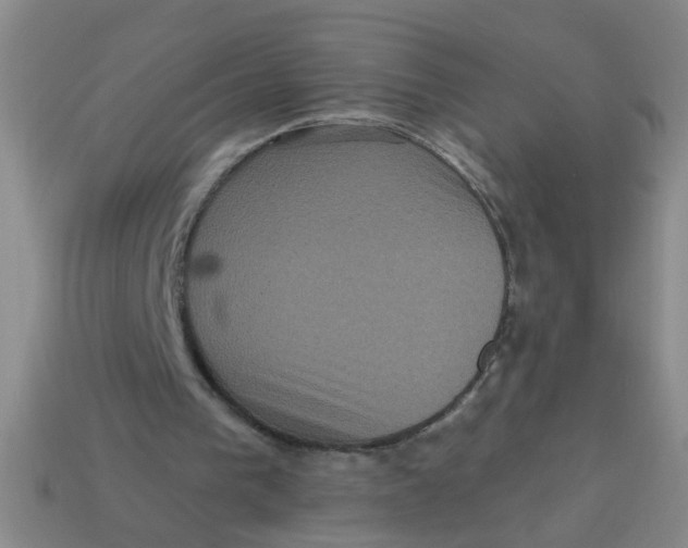 X0000113880193200910151320