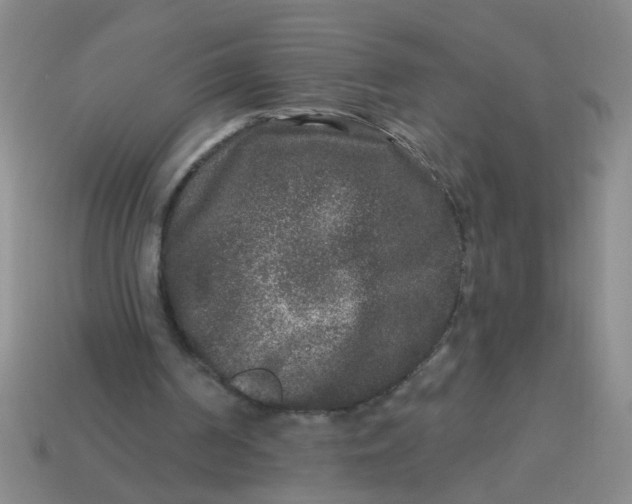 X0000113880194200910151320