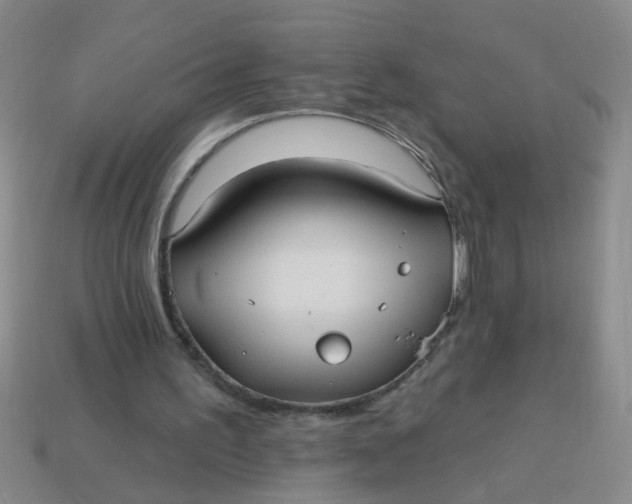 X0000113880195200910151320