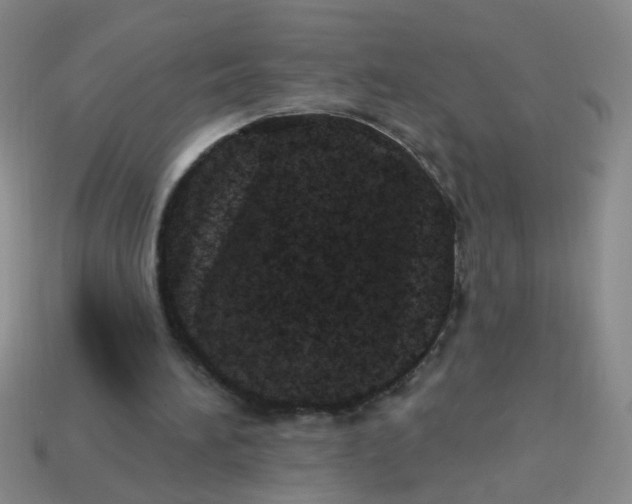 X0000113880196200910151320