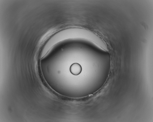 X0000113880197200910151320