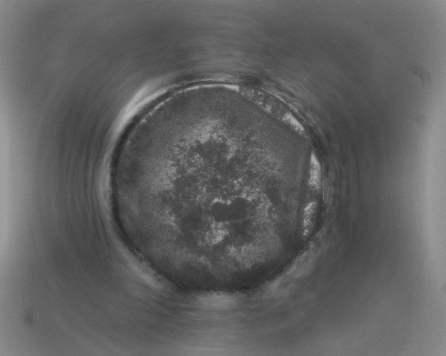 X0000113880198200910151320