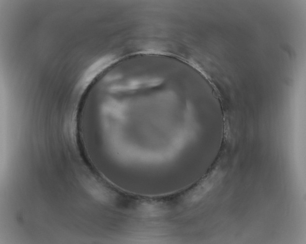 X0000113880199200910151320