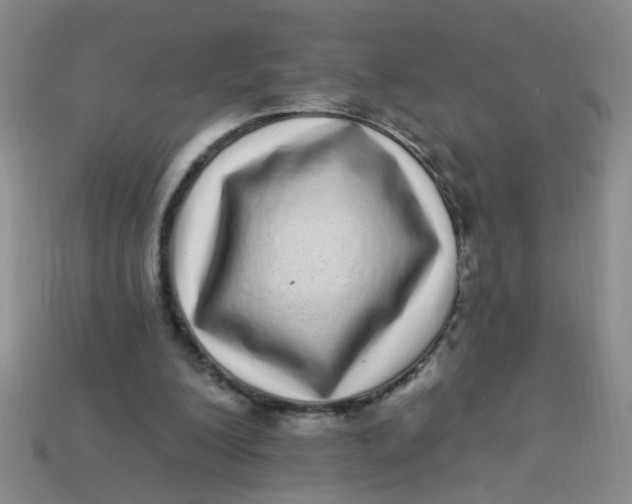 X0000113880200200910151320