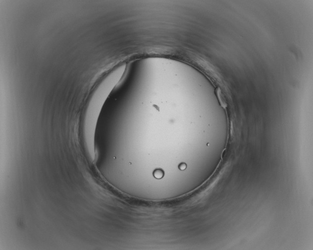 X0000113880201200910151320