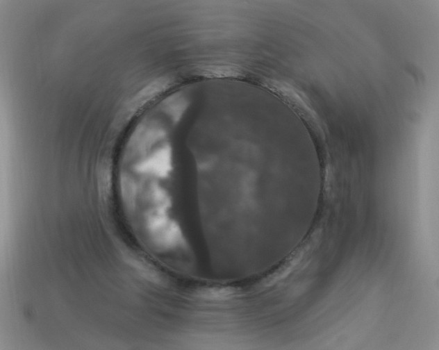 X0000113880202200910151320