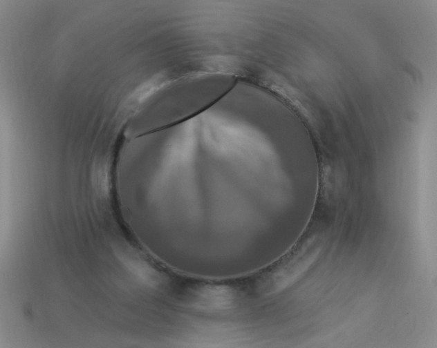 X0000113880203200910151320