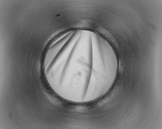 X0000113880204200910151320