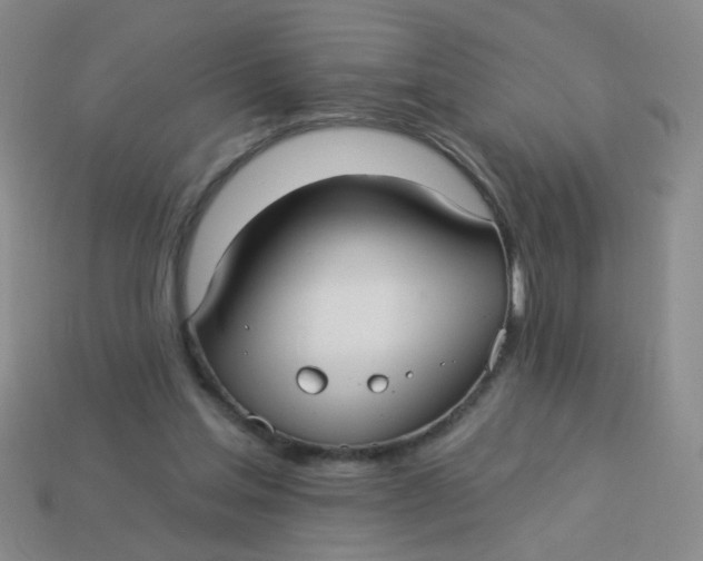 X0000113880205200910151320