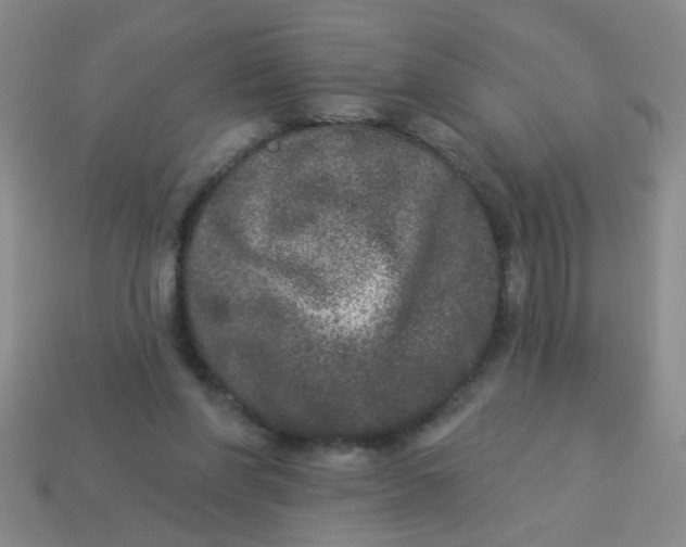 X0000113880206200910151320