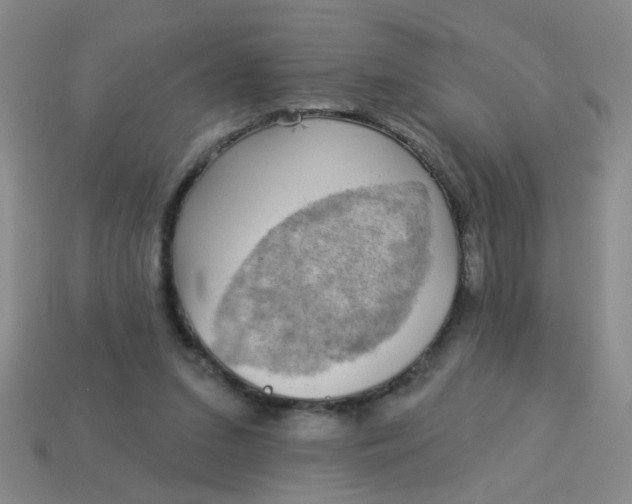 X0000113880207200910151320