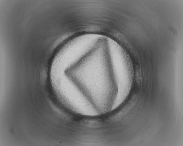 X0000113880208200910151320