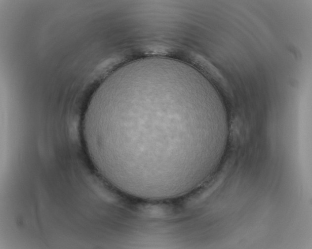 X0000113880209200910151320