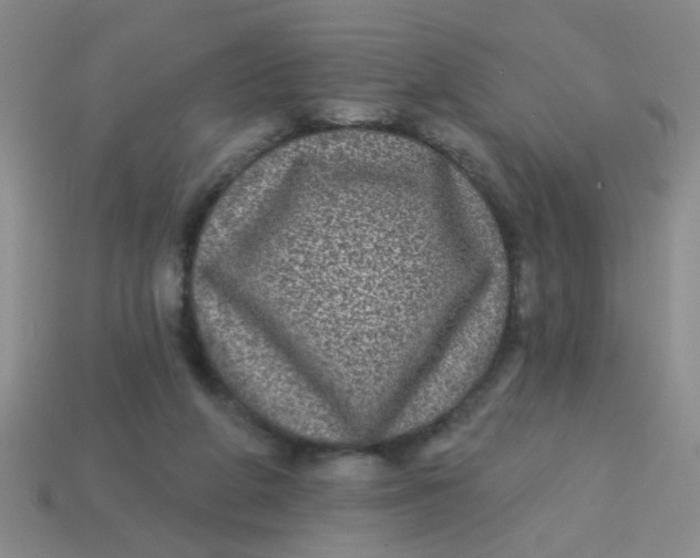 X0000113880210200910151320