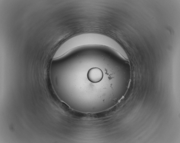 X0000113880211200910151320