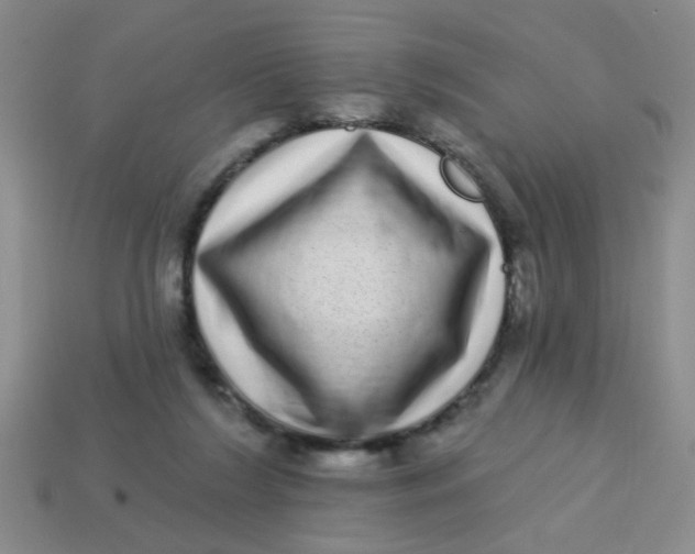 X0000113880212200910151320