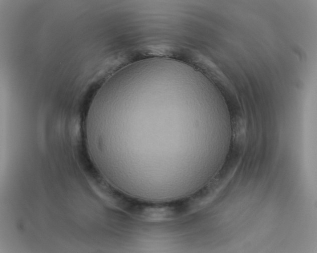 X0000113880213200910151320