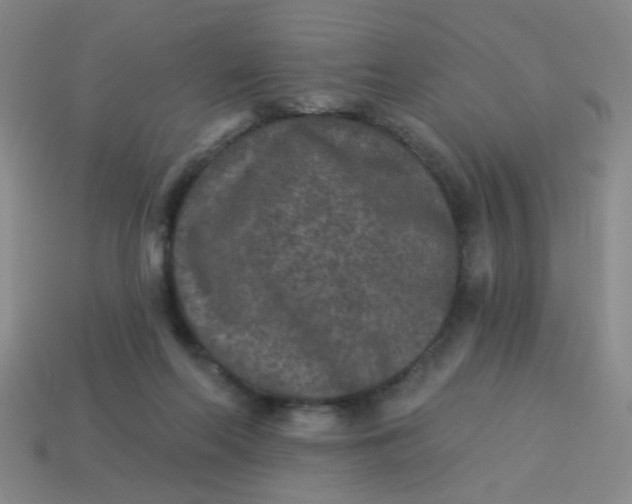 X0000113880214200910151320