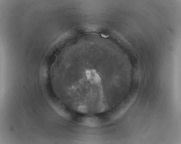 X0000113880215200910151320