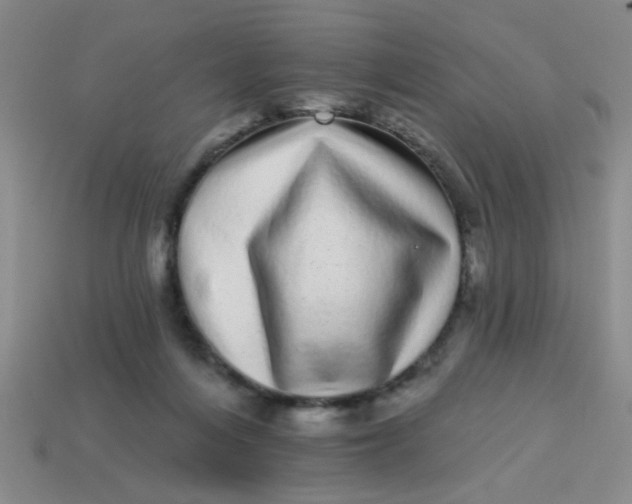 X0000113880216200910151320