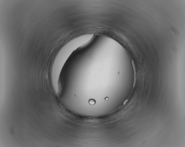 X0000113880217200910151320