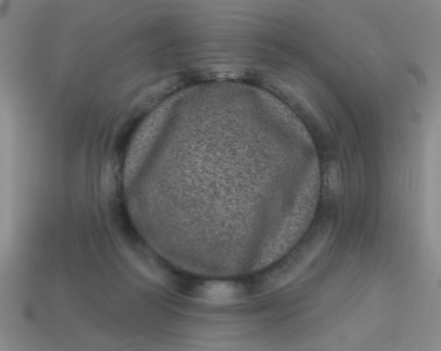 X0000113880218200910151320