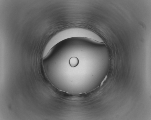 X0000113880219200910151320