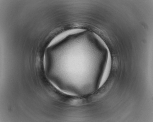 X0000113880220200910151320