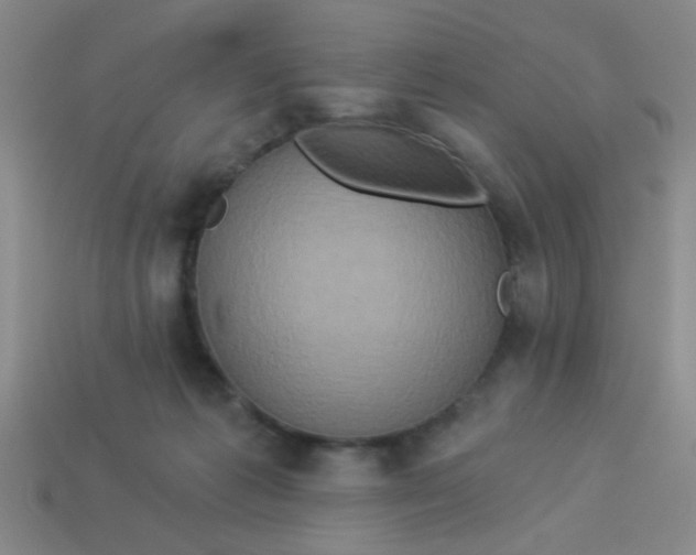 X0000113880221200910151320