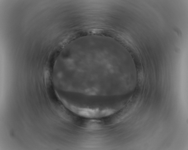 X0000113880222200910151320