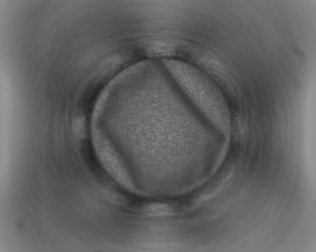 X0000113880224200910151320