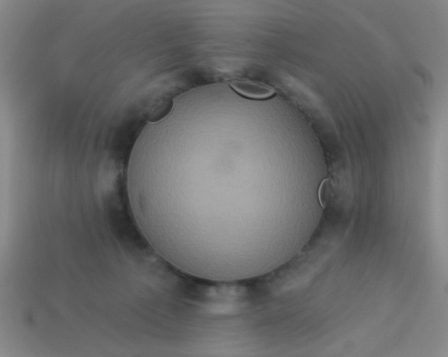 X0000113880225200910151320