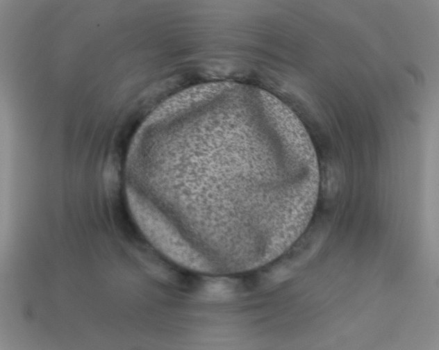 X0000113880226200910151320