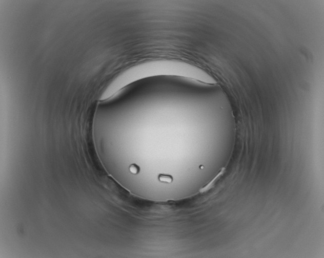 X0000113880227200910151320