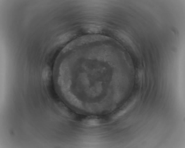 X0000113880228200910151320