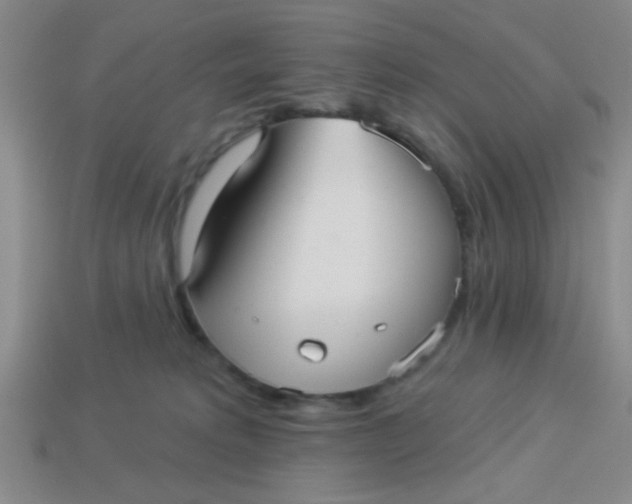 X0000113880229200910151320