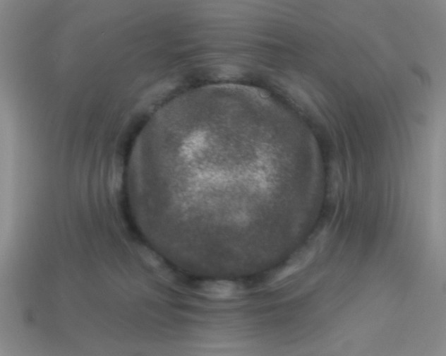 X0000113880230200910151320