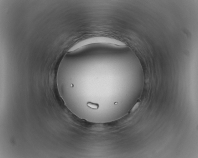 X0000113880231200910151320