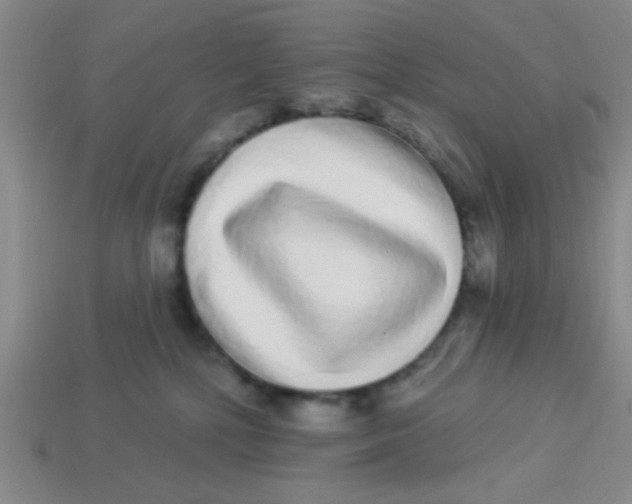 X0000113880232200910151320