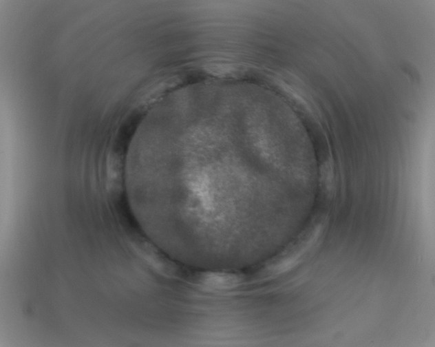 X0000113880234200910151320