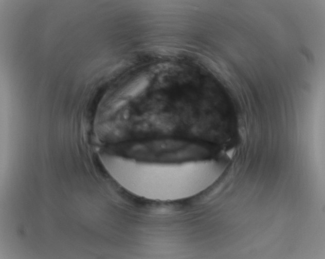 X0000113880235200910151320