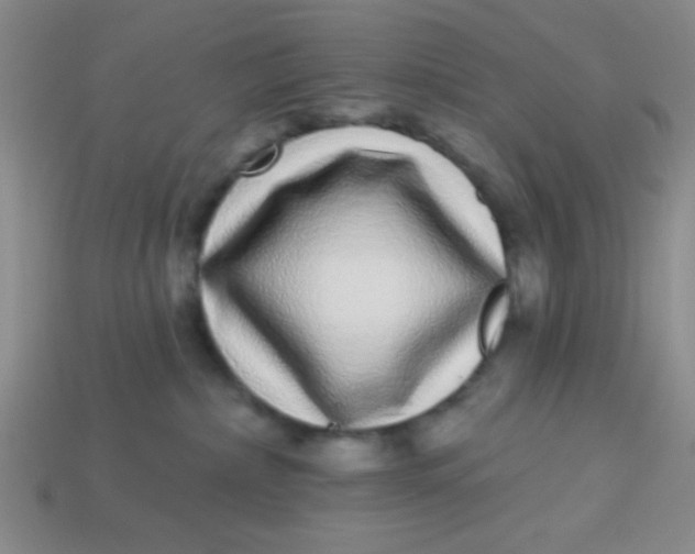 X0000113880236200910151320