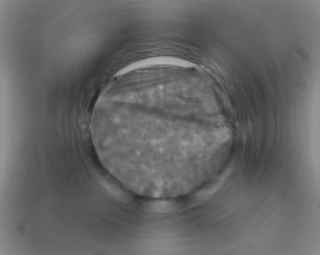 X0000113880237200910151320