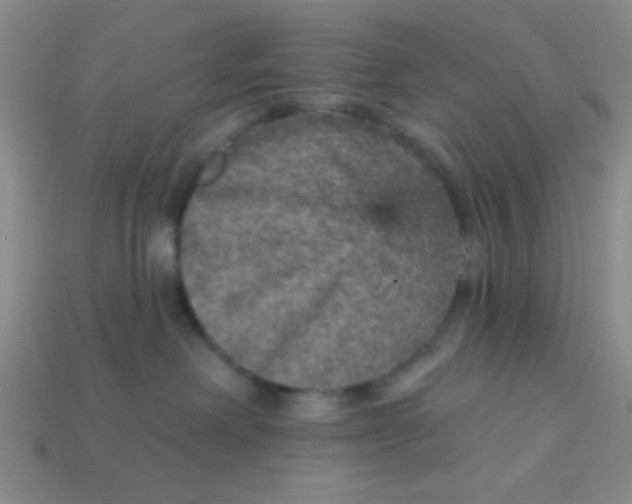 X0000113880238200910151320