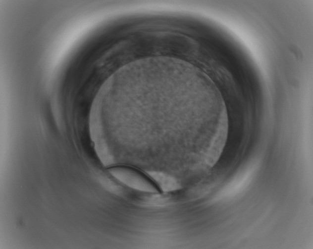 X0000113880239200910151320