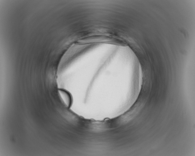 X0000113880240200910151320