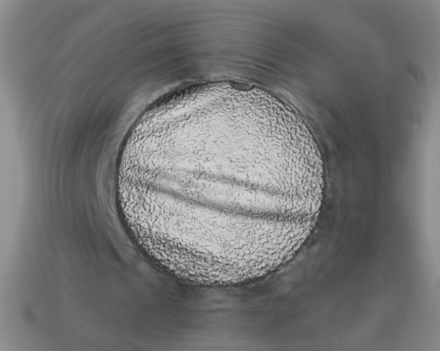 X0000113880241200910151319