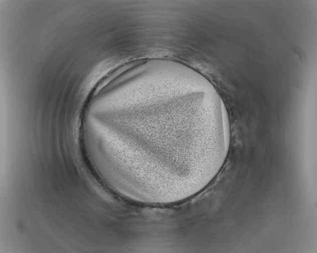 X0000113880242200910151319